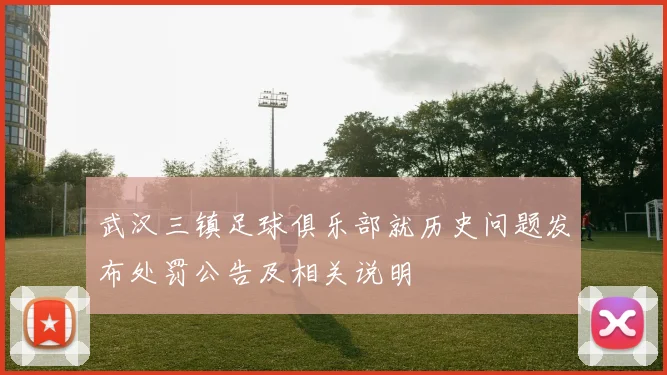 武汉三镇足球俱乐部就历史问题发布处罚公告及相关说明